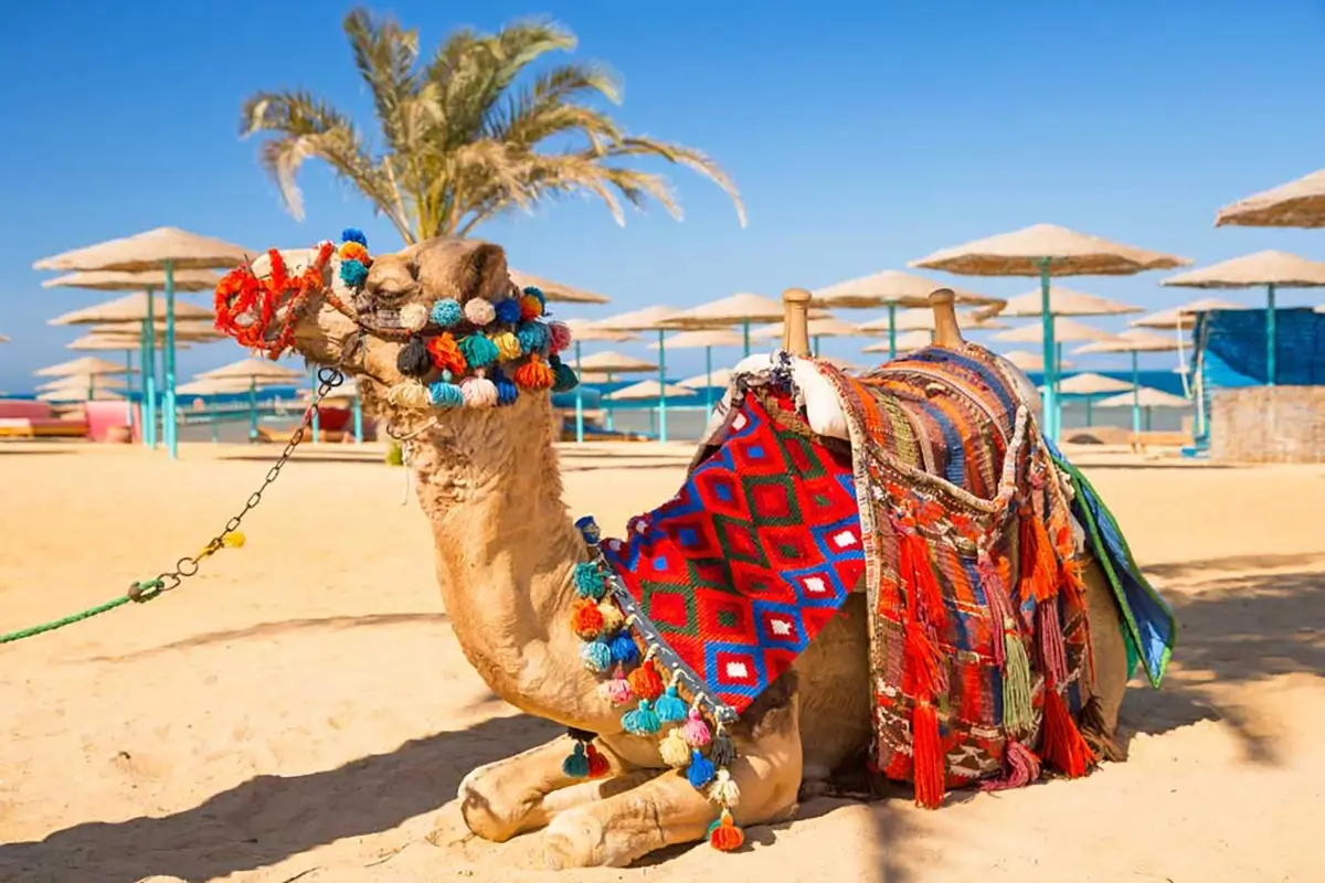 Top Five Holiday Destinations In 2019 4 QNET
