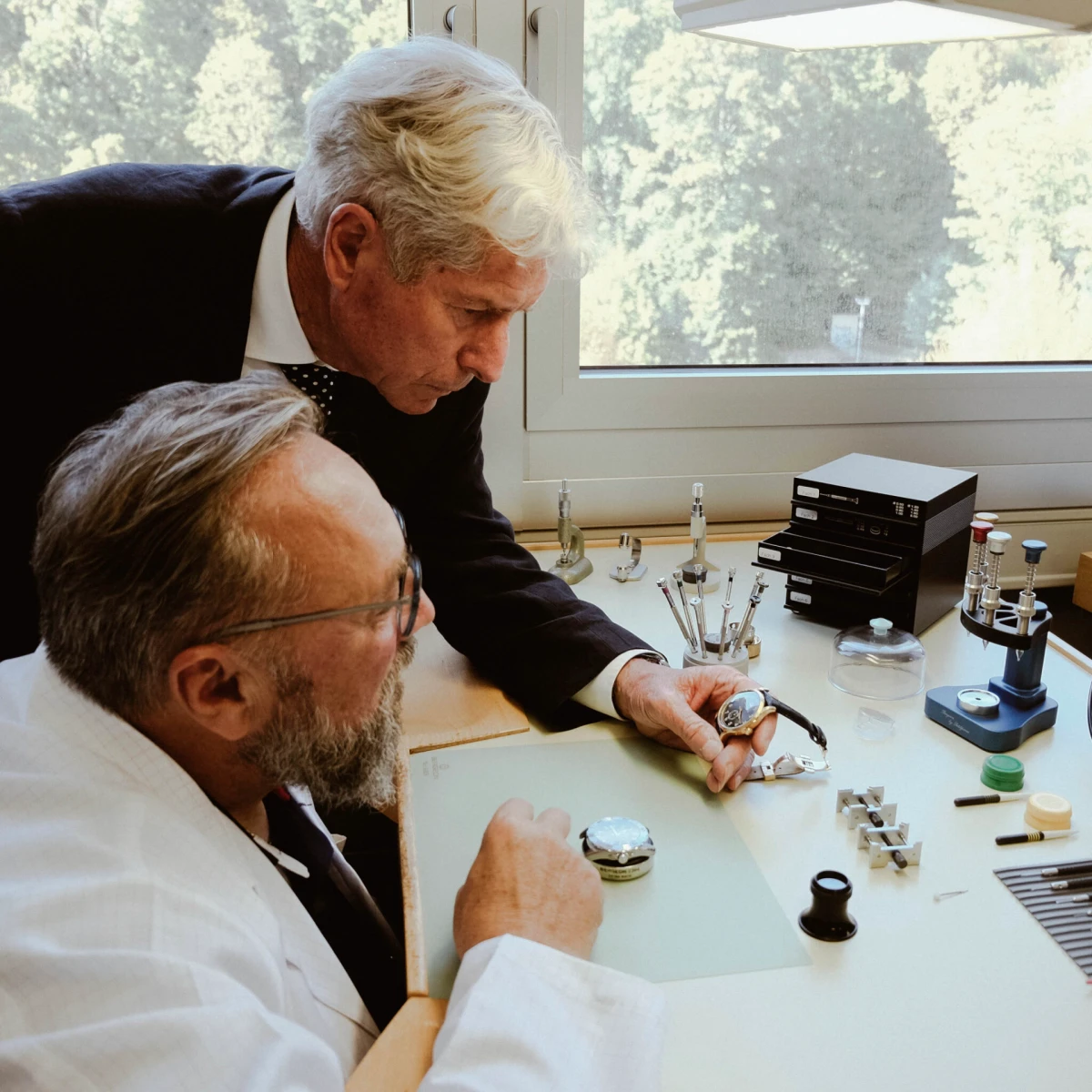 bernhard_h_mayer_mechanique_rose