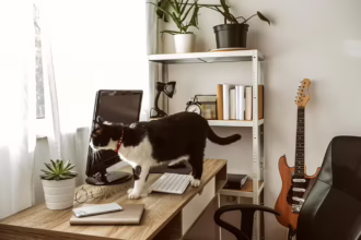 Cat walking on a desk optimised for home office productivity