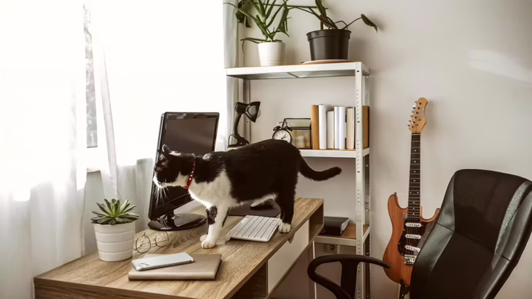 Cat walking on a desk optimised for home office productivity